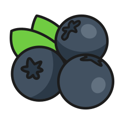 Bilberry icon