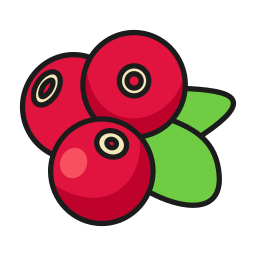 Lingonberry icon