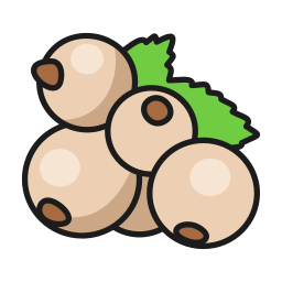 Currant icon