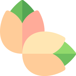 pistazie icon