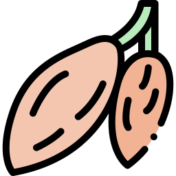 cacao icono