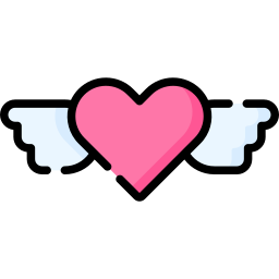 Heart wings icon