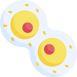 Mitosis icon