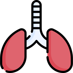 Lungs icon