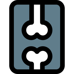X-ray icon