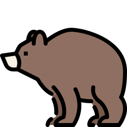 Bear icon