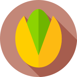 피스타치오 icon