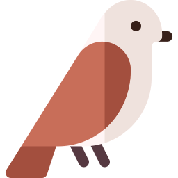 moineau Icône