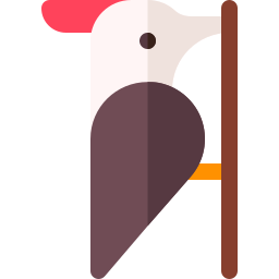 pájaro carpintero icono
