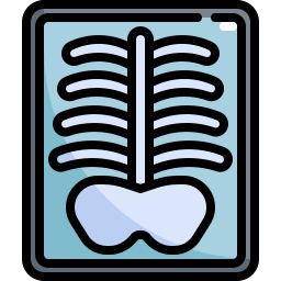 radiografie icoon