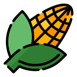 Corn icon