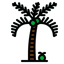 Palm tree icon