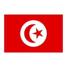 túnez icono
