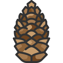 cono de pino icono