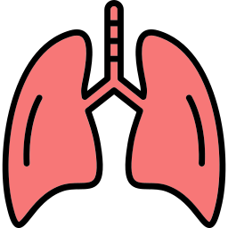 인간의 폐 icon