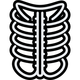 thorax icoon