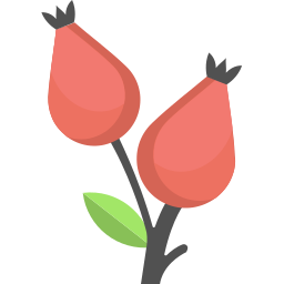rozenbottel icoon