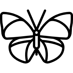 Butterfly icon