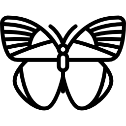 schmetterling icon