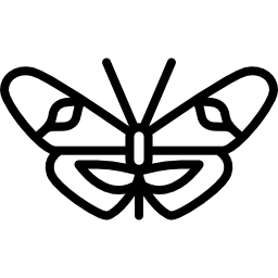 Butterfly icon