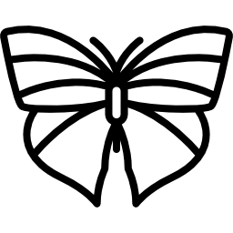 Butterfly icon