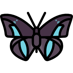 schmetterling icon