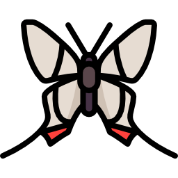 farfalla icona