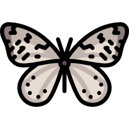 schmetterling icon