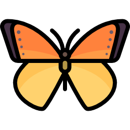 motyl ikona