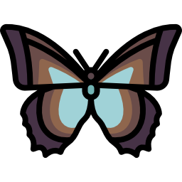 motyl ikona