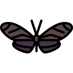 Butterfly icon