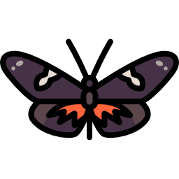 Butterfly icon