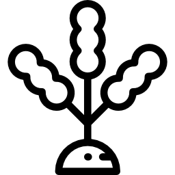 海藻 icon