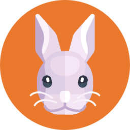 Rabbit icon