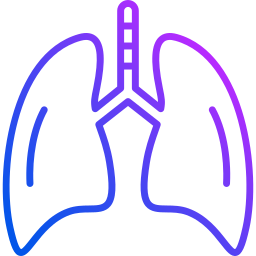 poumons humains Icône