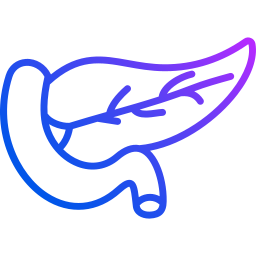 Pancreas icon