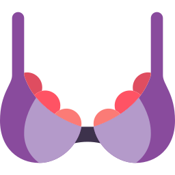 Bra icon