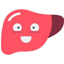 Liver icon