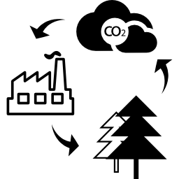 cyclus van biomassa icoon