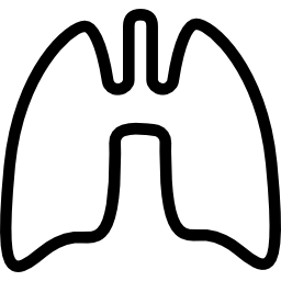 Lungs icon