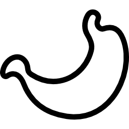 Stomach icon