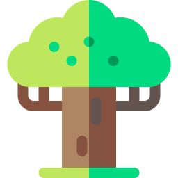 baobab icono