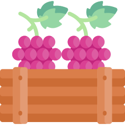 Grapes icon