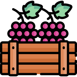 les raisins Icône