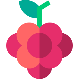 Grapes icon