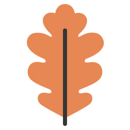 Dry leaf icon