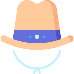 rodeo icon