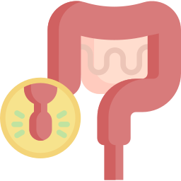 Appendix icon