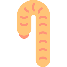 Worm icon