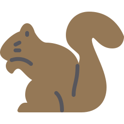 Squirrel icon